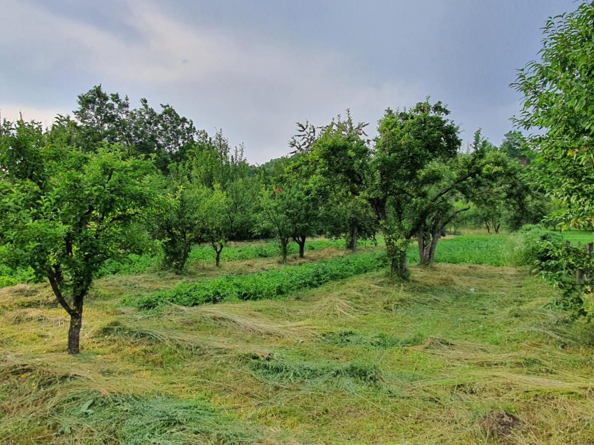 Livada Lui Papu Vila Izvoarele  Exterior foto